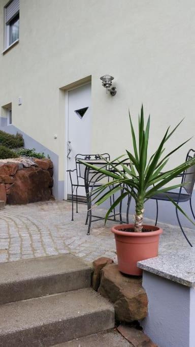 Ferienwohnung Talblick Im Schwarzwald Seelbach  Bagian luar foto