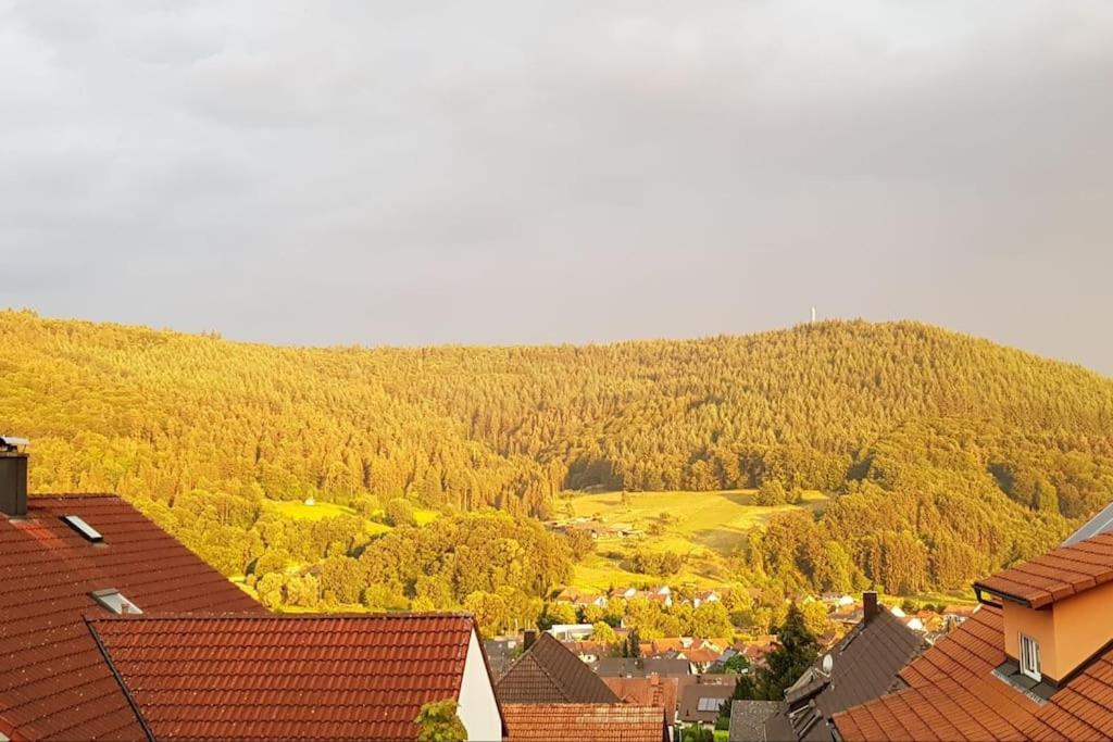 Ferienwohnung Talblick Im Schwarzwald Seelbach  Bagian luar foto