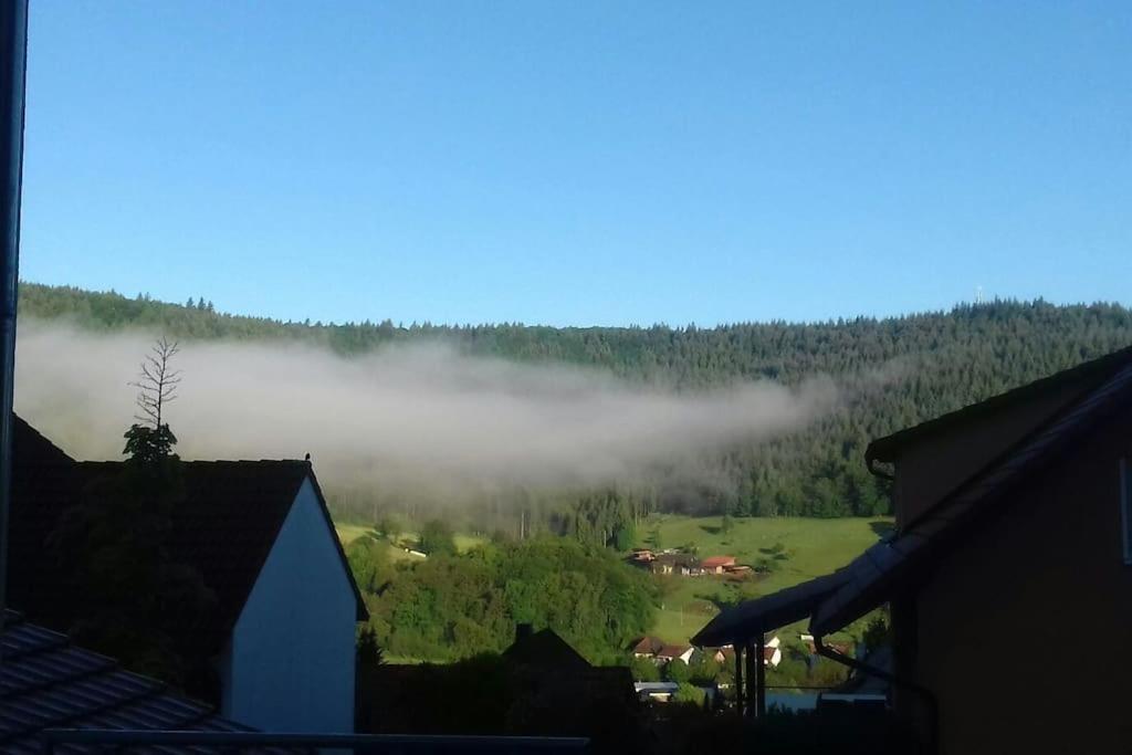Ferienwohnung Talblick Im Schwarzwald Seelbach  Bagian luar foto