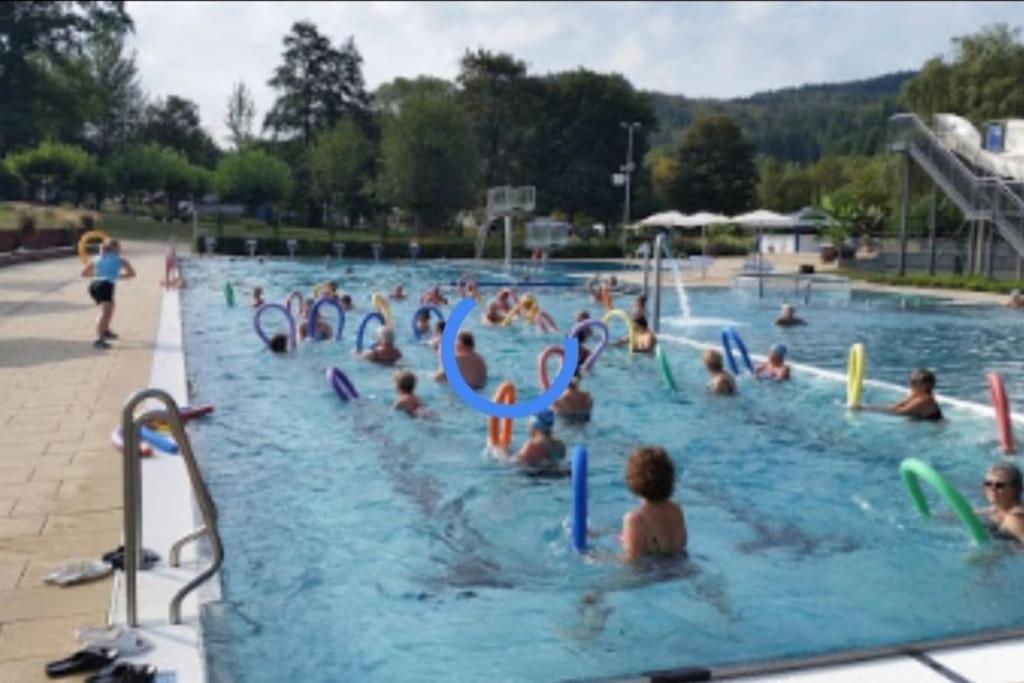 Ferienwohnung Talblick Im Schwarzwald Seelbach  Bagian luar foto