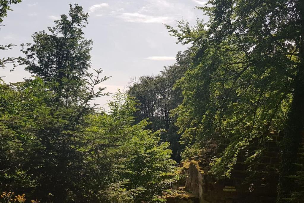 Ferienwohnung Talblick Im Schwarzwald Seelbach  Bagian luar foto