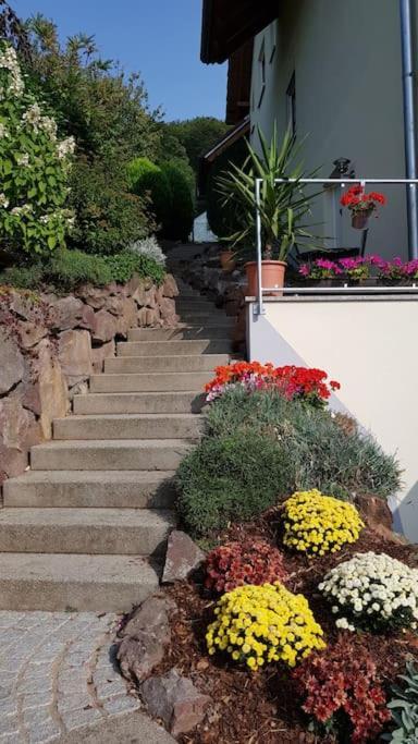 Ferienwohnung Talblick Im Schwarzwald Seelbach  Bagian luar foto
