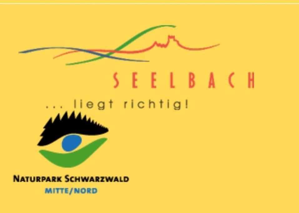 Ferienwohnung Talblick Im Schwarzwald Seelbach  Bagian luar foto