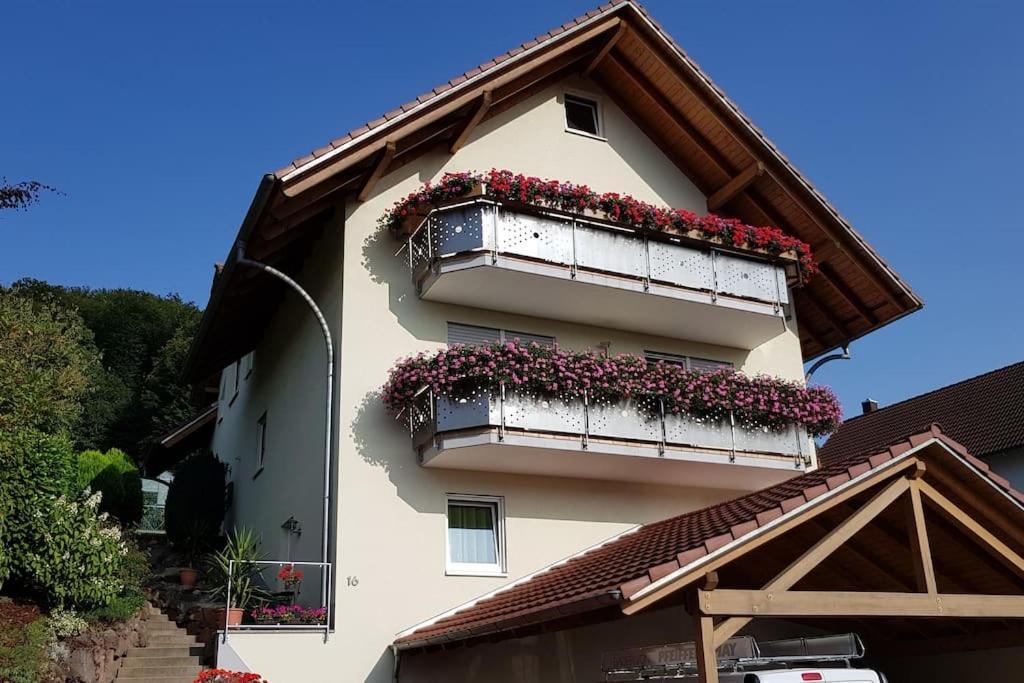 Ferienwohnung Talblick Im Schwarzwald Seelbach  Bagian luar foto
