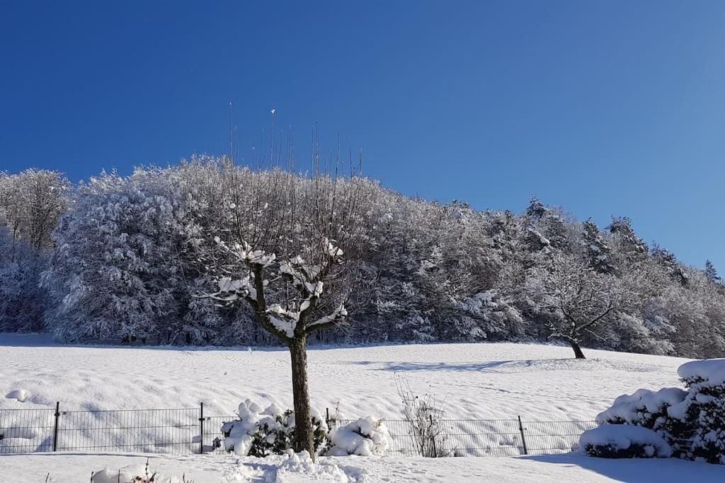 Ferienwohnung Talblick Im Schwarzwald Seelbach  Bagian luar foto