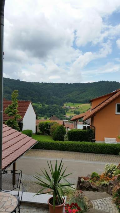 Ferienwohnung Talblick Im Schwarzwald Seelbach  Bagian luar foto